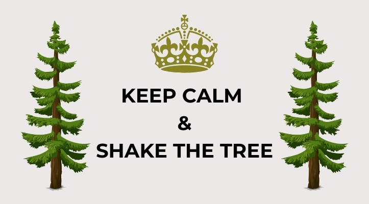 Help Move Lymphatic Fluid With “Shaking The Tree”