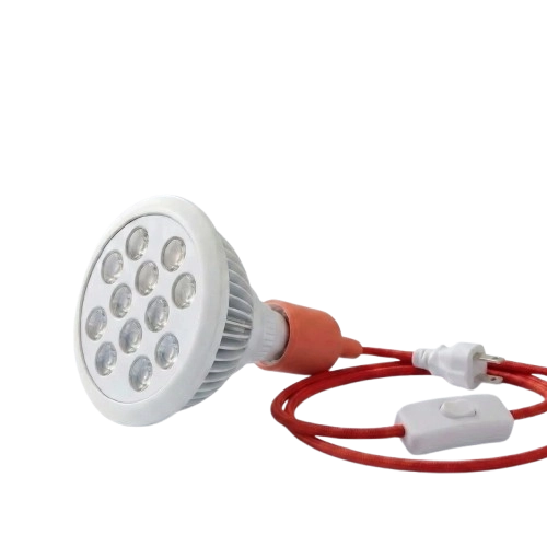 Handheld Lights
